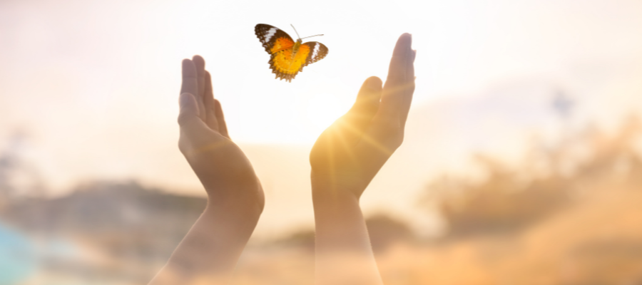 2 hands releasing a butterfly